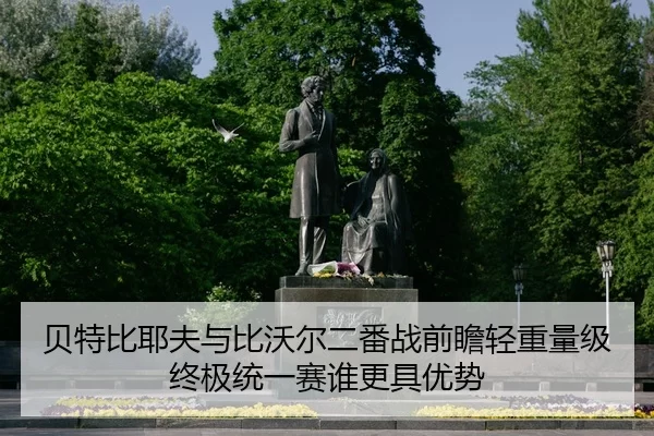 贝特比耶夫与比沃尔二番战前瞻轻重量级终极统一赛谁更具优势