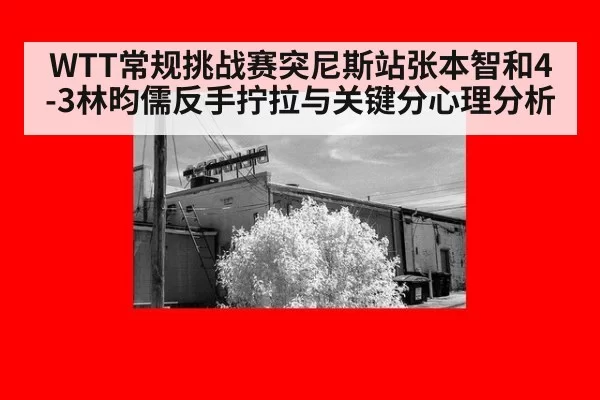 WTT常规挑战赛突尼斯站张本智和4-3林昀儒反手拧拉与关键分心理分析 - xingkongyule