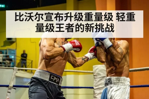 heavyweight boxing match