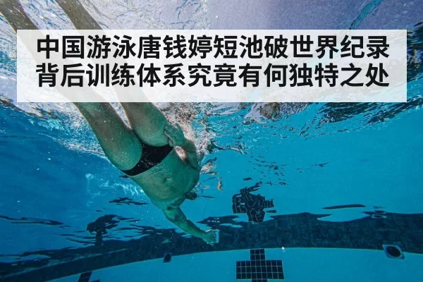 中国游泳唐钱婷短池破世界纪录背后训练体系究竟有何独特之处