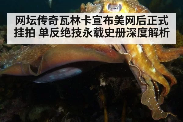 网坛传奇瓦林卡宣布美网后正式挂拍 单反绝技永载史册深度解析