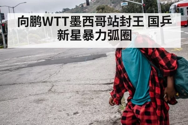 向鹏WTT墨西哥站封王 国乒新星暴力弧圈